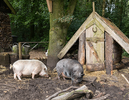 Leven in de buitenlucht - Karel, Wendy en dochter Erin genieten van het buiten bestaan. Hier zie je een aantal foto's van hoe ze leven. 